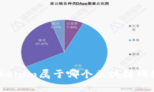 Tokenim属于哪个区块链网络？