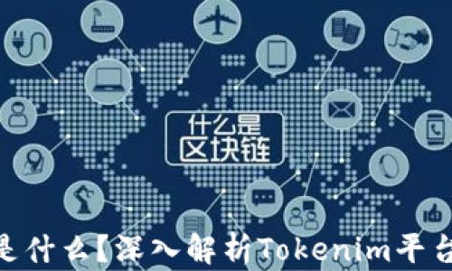 
Tokenim是什么？深入解析Tokenim平台及其应用