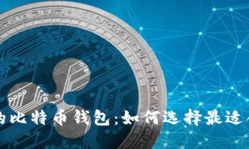 电脑能安装的比特币钱包：如何选择最适合自己的钱包