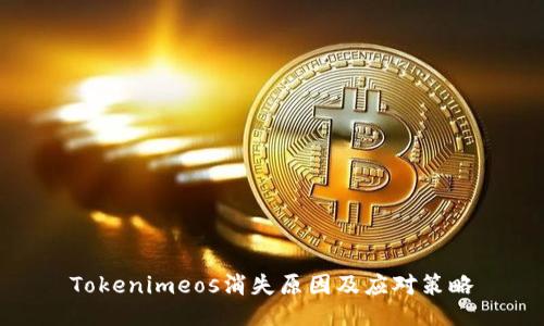 Tokenimeos消失原因及应对策略
