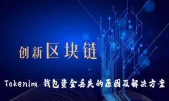 Tokenim 钱包资金丢失的原因
