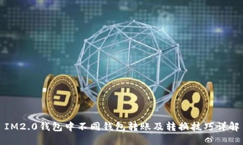 IM2.0钱包中不同钱包转账及转换技巧详解