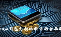 Steam钱包支持比特币的全面