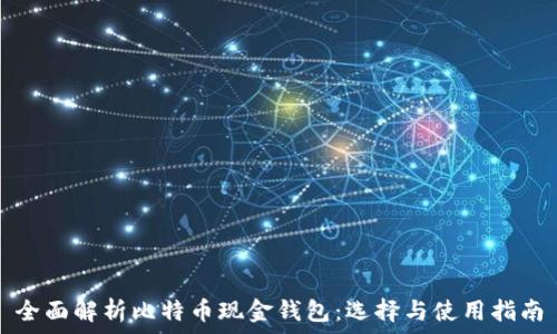   
全面解析比特币现金钱包：选择与使用指南