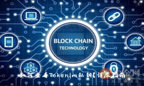 如何查看Tokenim私钥？详尽指南