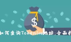 : 如何查询Tokenim地址：全