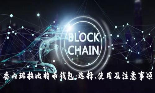 委内瑞拉比特币钱包：选择、使用及注意事项