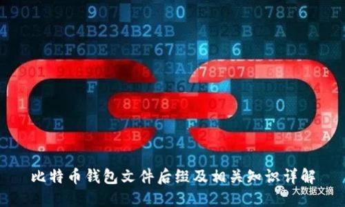 比特币钱包文件后缀及相关知识详解
