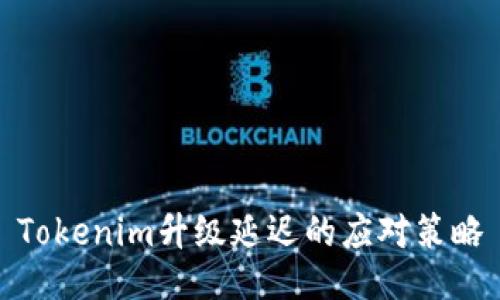 Tokenim升级延迟的应对策略
