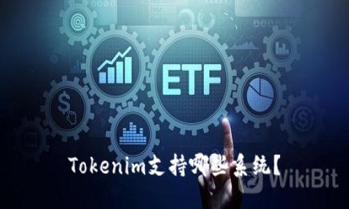 Tokenim支持哪些系统？