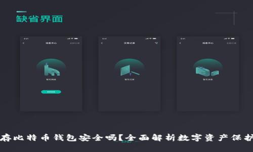 存比特币钱包安全吗？全面解析数字资产保护