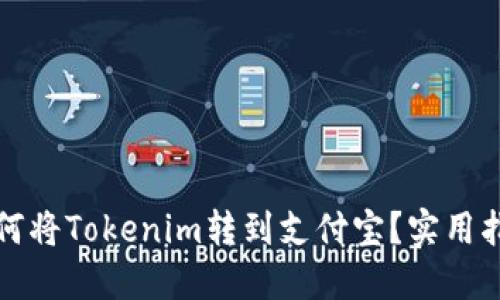 如何将Tokenim转到支付宝？实用指南