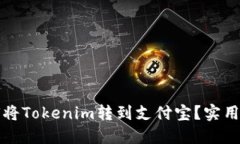 如何将Tokenim转到支付宝？实用指南