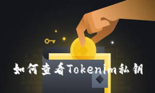 如何查看Tokenim私钥