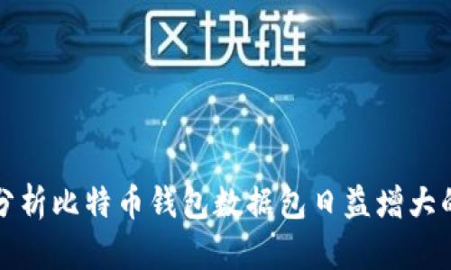 深入分析比特币钱包数据包日益增大的现象