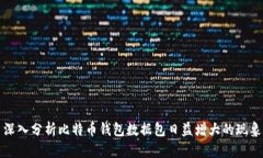 深入分析比特币钱包数据
