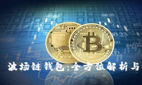 Tokenim 波场链钱包：全方位解析与使用指南