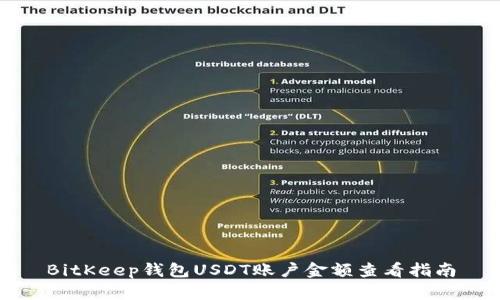 BitKeep钱包USDT账户金额查看指南