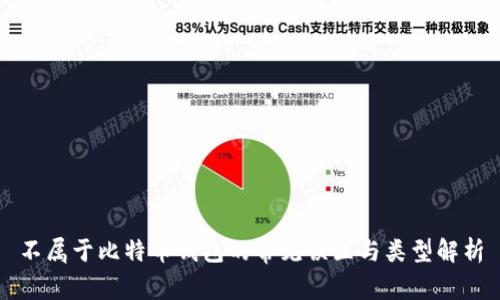 不属于比特币钱包的常见误区与类型解析