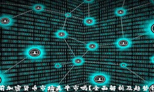 
当前加密货币市场是牛市吗？全面解析及趋势预测
