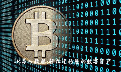  IM导入教程：轻松迁移您的数字资产